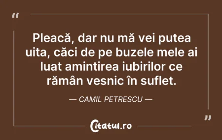 Citeste si: Pleacă, dar nu mă vei putea uita, căci d...