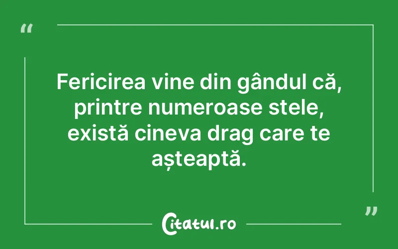 Fericirea vine din gândul că, printre numeroase stele, există cineva drag care te așteaptă.