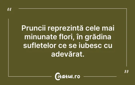 Citeste si: Pruncii reprezintă cele mai minunate flo...