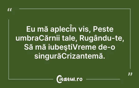 Citeste si: Eu mă aplecÎn vis, Peste umbraCărnii tal...