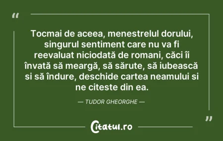 Citeste si: Tocmai de aceea, menestrelul dorului, si...