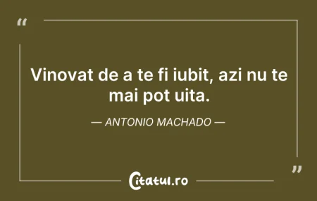 Citeste si: Vinovat de a te fi iubit, azi nu te mai ...