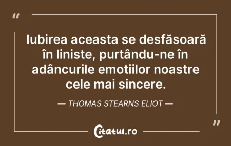 Citeste si: Iubirea aceasta se desfășoară în liniște...