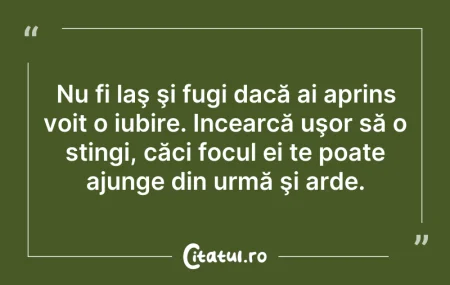 Citeste si: Nu fi laş şi fugi dacă ai aprins voit o ...