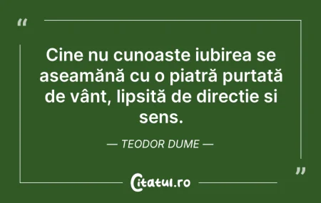 Citeste si: Cine nu cunoaște iubirea se aseamănă cu ...