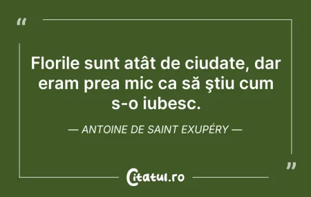 Citeste si: Florile sunt atât de ciudate, dar eram p...