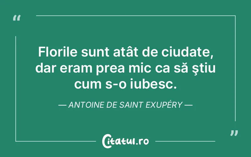 Florile sunt atât de ciudate, dar eram prea mic ca să ştiu cum s-o iubesc. Antoine de Saint Exupéry