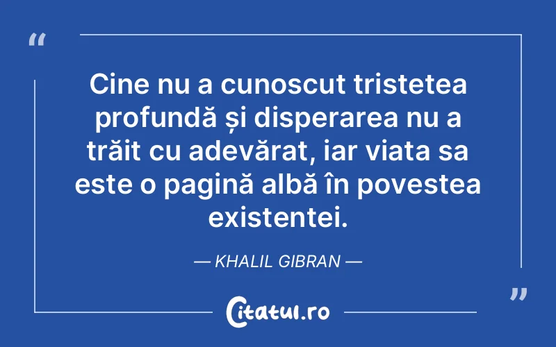 Cine nu a cunoscut tristețea profundă și disperarea nu a trăit cu adevărat, iar viața sa este o pagină albă în povestea existenței. Khalil Gibran