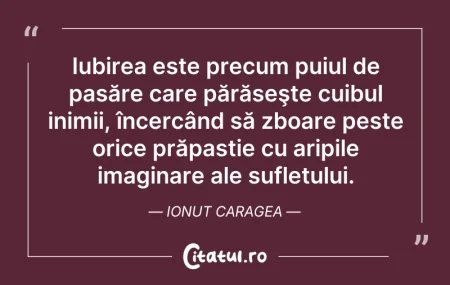 Citeste si:  Iubirea este precum puiul de pasăre car...