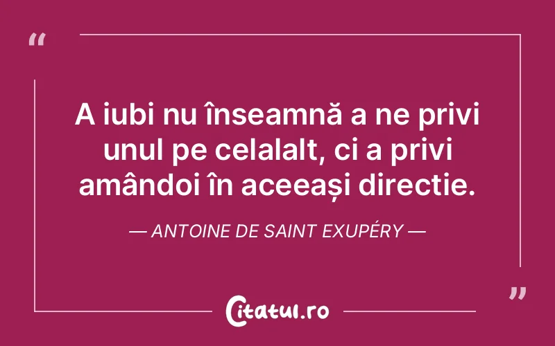 A iubi nu înseamnă a ne privi unul pe celalalt, ci a privi amândoi în aceeași direcție. Antoine de Saint Exupéry