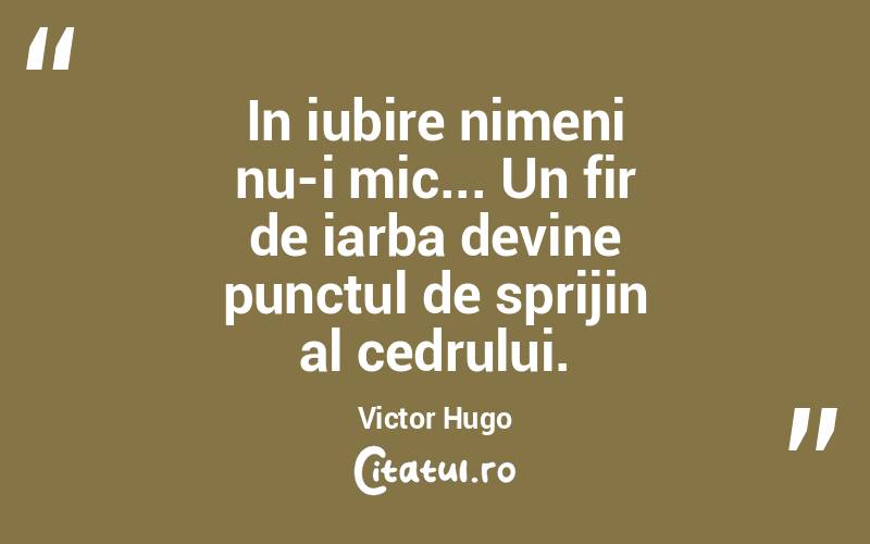 In iubire nimeni nu-i mic... Un fir de iarba devine punctul de sprijin al cedrului. Victor Hugo
