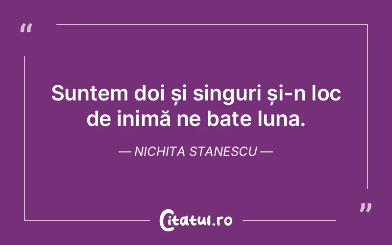 Suntem doi și singuri și-n loc de inimă ne bate luna. Nichita Stanescu