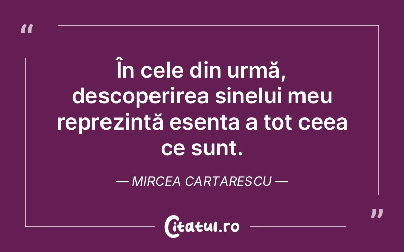 În cele din urmă, descoperirea sinelui meu reprezintă esența a tot ceea ce sunt. Mircea Cartarescu