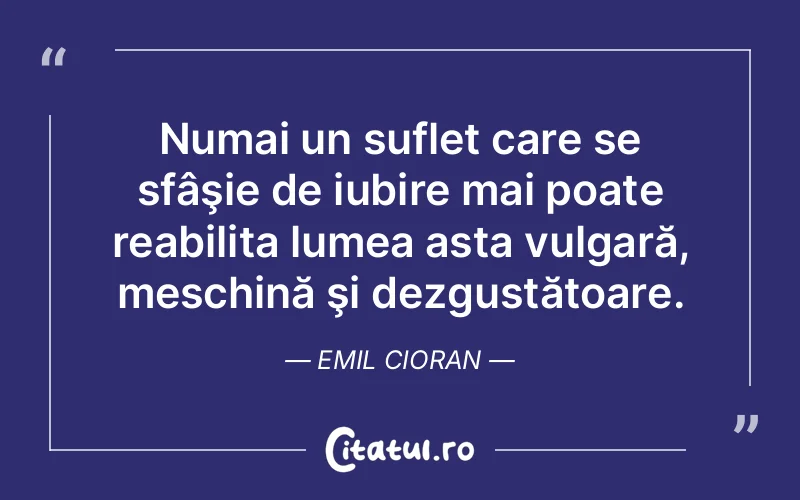 Numai un suflet care se sfâşie de iubire mai poate reabilita lumea asta vulgară, meschină şi dezgustătoare. Emil Cioran