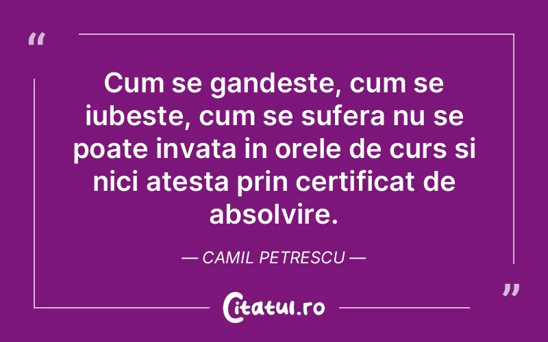Cum se gandeste, cum se iubeste, cum se sufera nu se poate invata in orele de curs si nici atesta prin certificat de absolvire. Camil Petrescu