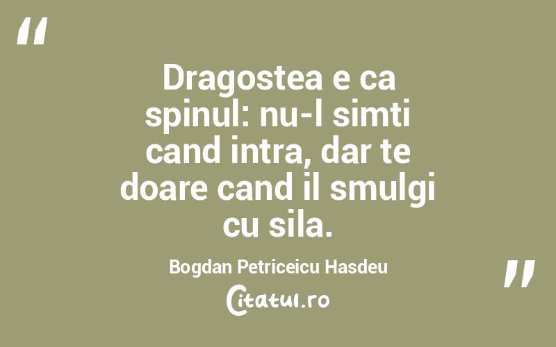   Dragostea e ca spinul: nu-l simti cand intra, dar te doare cand il smulgi cu sila. Bogdan Petriceicu Hasdeu
