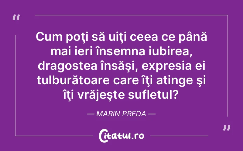 Cum poţi să uiţi ceea ce până mai ieri însemna iubirea, dragostea însăşi, expresia ei tulburătoare care îţi atinge şi îţi vrăjeşte sufletul? Marin Preda