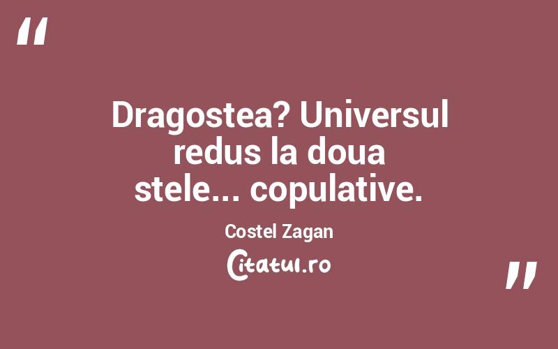 Dragostea? Universul redus la doua stele... copulative. Costel Zagan
