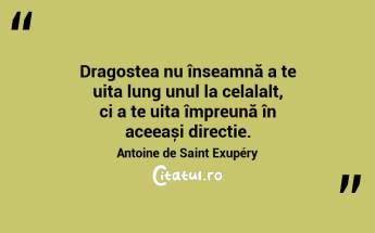 Dragostea nu înseamnă a te uita lung unul la celalalt, ci a te uita împreună în aceeași direcție . Antoine de Saint Exupéry...