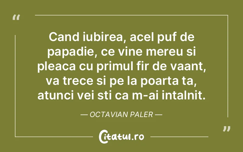 Cand iubirea, acel puf de papadie, ce vine mereu si pleaca cu primul fir de vaant, va trece si pe la poarta ta, atunci vei sti ca m-ai intalnit. Octavian Paler