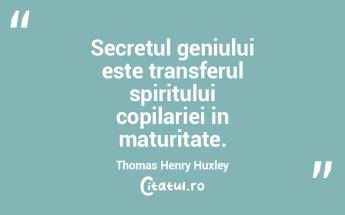 Secretul geniului este transferul spirit...