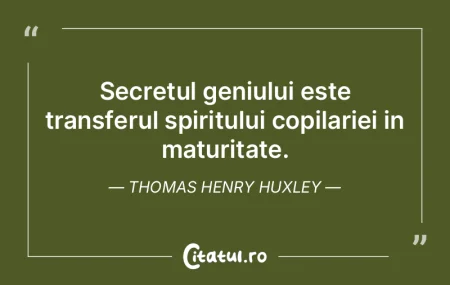 Secretul geniului este transferul spirit...