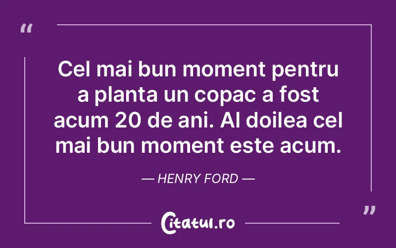 Cel mai bun moment pentru a planta un copac a fost acum 20 de ani. Al doilea cel mai bun moment este acum. Henry Ford