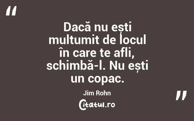 Dacă nu ești mulțumit de locul în care te afli, schimbă-l. Nu ești un copac. Jim Rohn
