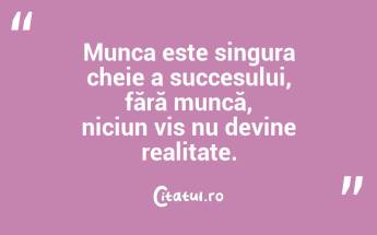 Munca este singura cheie a succesului, fără muncă, niciun vis nu devine realitate. ...