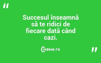 Succesul înseamnă să te ridici de fiecare dată când cazi. ...
