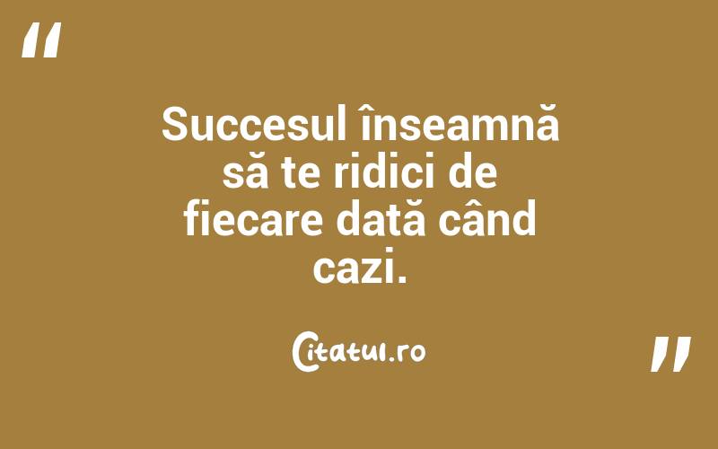 Succesul înseamnă să te ridici de fiecare dată când cazi. 
