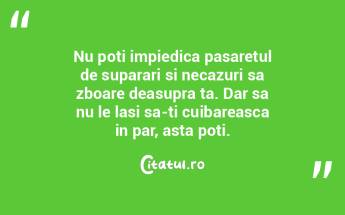 Nu poti impiedica pasaretul de suparari ...