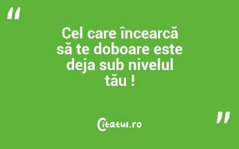 Cel care încearcă să te doboare este deja sub nivelul tău !...
