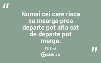 Numai cei care risca sa mearga prea departe pot afla cat de departe pot merge. TS Eliot...
