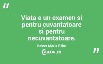 Viata e un examen si pentru cuvantatoare si pentru necuvantatoare. Rainer Maria Rilke...