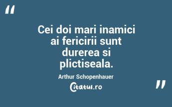 Cei doi mari inamici ai fericirii sunt durerea si plictiseala. Arthur Schopenhauer...