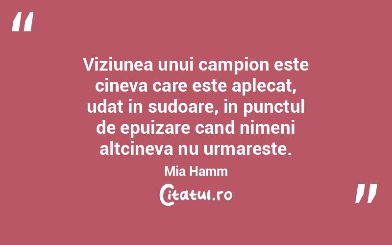 Viziunea unui campion este cineva care este aplecat, udat in sudoare, in punctul de epuizare cand nimeni altcineva nu urmareste. Mia Hamm