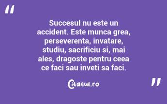 Succesul nu este un accident. Este munca grea, perseverenta, invatare, studiu, sacrificiu si, mai ales, dragoste pentru ceea ce faci sau inveti sa faci.  ...
