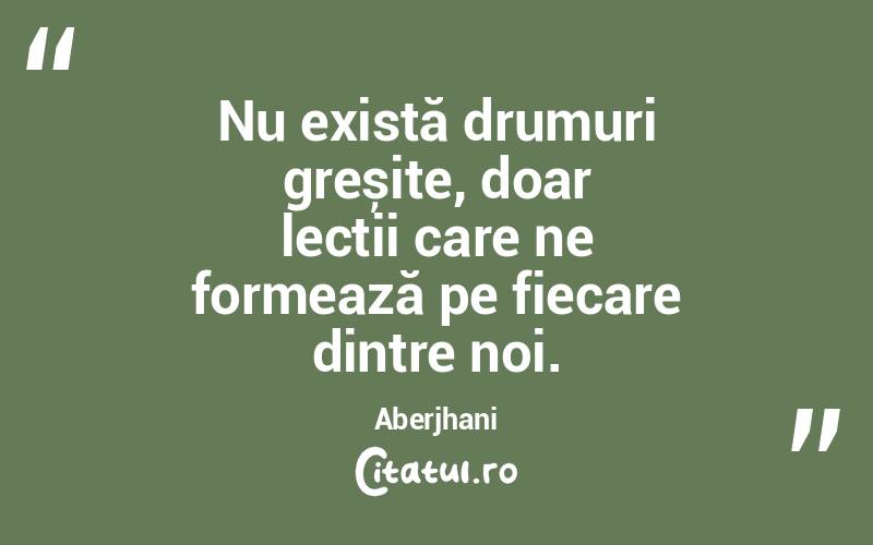 Nu există drumuri greșite, doar lecții care ne formează pe fiecare dintre noi. Aberjhani