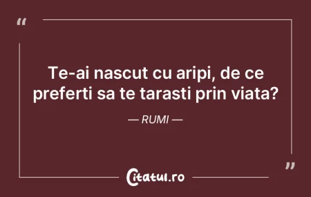 Te-ai nascut cu aripi, de ce preferti sa...