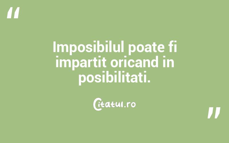 Imposibilul poate fi impartit oricand in posibilitati.  