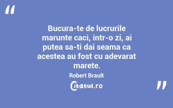Bucura-te de lucrurile marunte caci, intr-o zi, ai putea sa-ti dai seama ca acestea au fost cu adevarat marete. Robert Brault...
