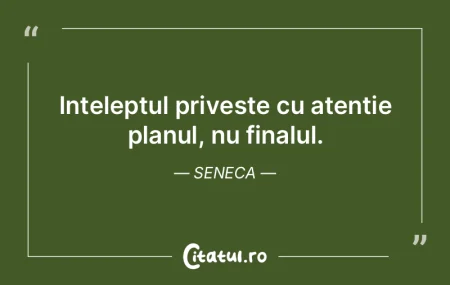 Inteleptul priveste cu atentie planul, n...