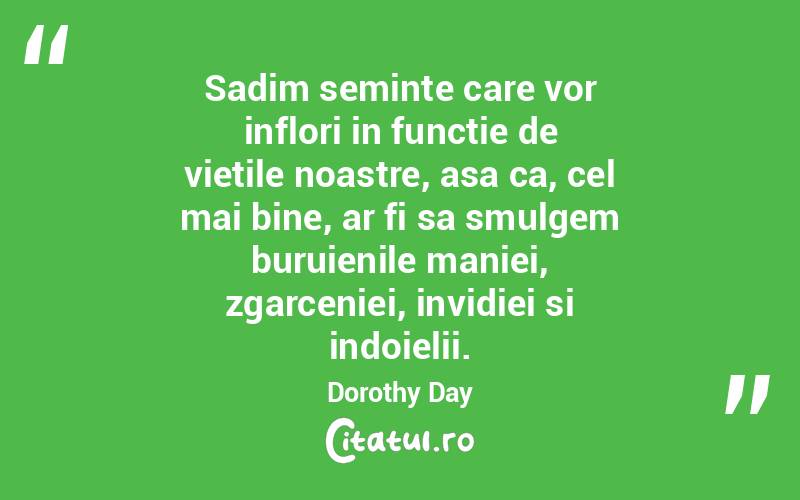 Sadim seminte care vor inflori in functie de vietile noastre, asa ca, cel mai bine, ar fi sa smulgem buruienile maniei, zgarceniei, invidiei si indoielii. Dorothy Day