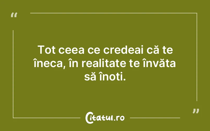 Citat Autor necunoscut - citate motivationale