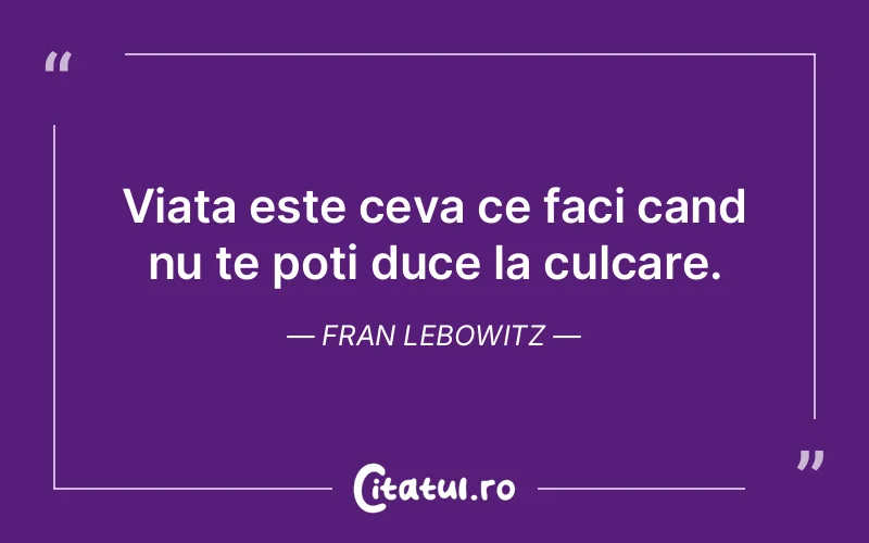 Citat Fran Lebowitz - citate motivationale