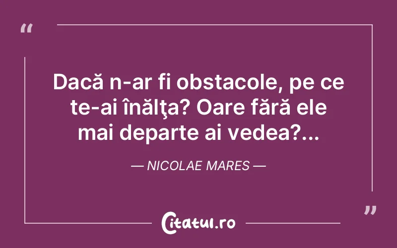 Citat Nicolae Mares - citate motivationale