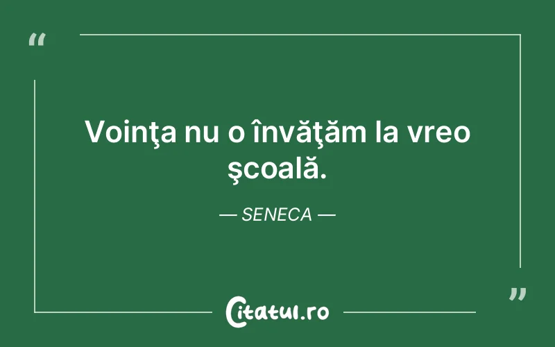 Citat Seneca - citate motivationale