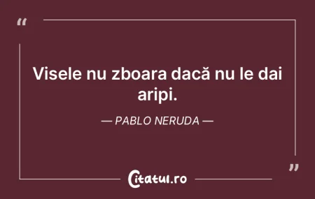 Visele nu zboara dacă nu le dai aripi. ...