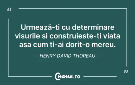 Urmează-ți cu determinare visurile și...